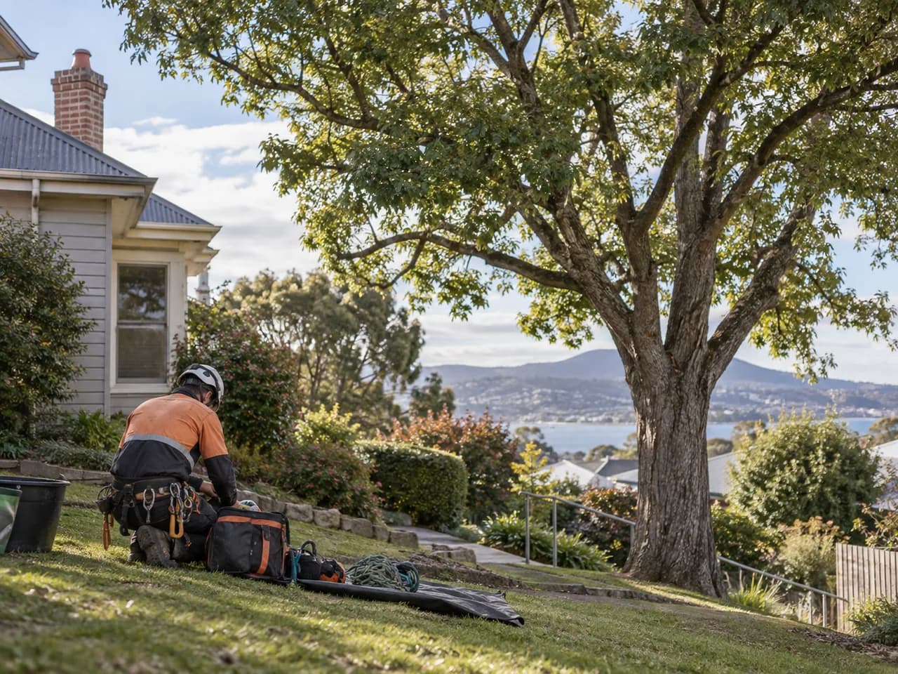 Illustrative tree pruning service in Hobart
